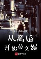 从离婚开始到文娱