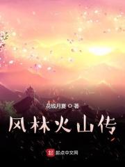 风林火山2007