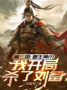 我开局杀了刘备 三月流雪 / 著